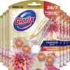 Glorix Aroma Lux Dahlia Flower & Dragonfruit - 9 Toiletblokken - Halfjaarbox - Voordeelverpakking -Huishoud Verkoop 1200x1111 2