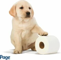 Page Toiletpapier - Eco - Duurzaam - 24 Rollen - Voordeelverpakking -Huishoud Verkoop 1200x1186 4