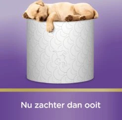 Page Toiletpapier - Kussenzacht Wc Papier - Voordeelverpakking - 24 Rollen 21 Page Toiletpapier - Kussenzacht Wc Papier - Voordeelverpakking - 24 Rollen -Huishoud Verkoop 1200x1186 5