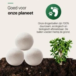 Tenify 6 XL Drogerballen + Extra Lavendel Olie - Wasbollen - Duurzaam - Schaapswol - Wasverzachter - Wasdrogerballen - Herbruikbare Droogballen - Energie Besparen -Huishoud Verkoop 1200x1188 2