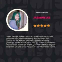 Merkloos Toiletblokjes Voor Inbouwreservoirs – WC-blokjes – Toiletblokken In Een Voordeelverpakking – 30 Stuks -Huishoud Verkoop 1200x1200 1398