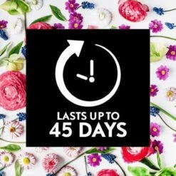 Air Wick Essential Mist Automatische Geurverspreider Luchtverfrisser - Innerlijke Rust - Navulling -Huishoud Verkoop 1200x1200 1612