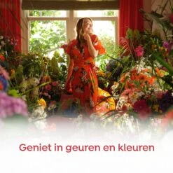 Robijn Klein & Krachtig Rosé Chique Vloeibaar Wasmiddel - 8 X 19 Wasbeurten - Voordeelverpakking -Huishoud Verkoop 1200x1200 22