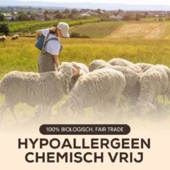 Drogerballen - Droogballen - Wasdrogerballen - Dryerballs - 6 Stuks - XL Formaat - Wol - Set 12 Drogerballen - Droogballen - Wasdrogerballen - Dryerballs - 6 Stuks - XL Formaat - Wol - Set -Huishoud Verkoop 1200x1200 402
