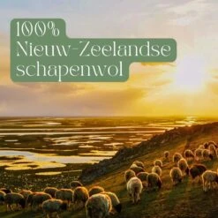 Miki's Goods® XL Wollen Drogerballen 6 Stuks - Panda Wasballen - Duurzaam - Wasbol - 100% Nieuw-Zeelandse Schapenwol - Wasbollen - Herbruikbaar- Droogballen - Snellere Droogtijd - Zuigt Dierenharen Op -Huishoud Verkoop 1200x1200 408