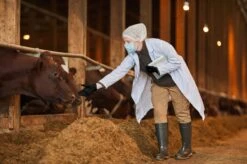 ANSELL MICROFLEX® 93-732 - Nitril Wegwerp Handschoenen, Latexvrij, Poedervrij, S, Zwart, 100 Stuks (0.7-0.11mm) -Huishoud Verkoop 1200x799 29