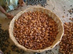 Wasnoten Start 150gr Met Waszakje - Zeepnoten - Natuurlijk Wassen 13 Wasnoten Start 150gr Met Waszakje - Zeepnoten - Natuurlijk Wassen -Huishoud Verkoop 1200x900