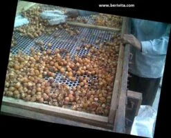 Wasnoten Start 150gr Met Waszakje - Zeepnoten - Natuurlijk Wassen 14 Wasnoten Start 150gr Met Waszakje - Zeepnoten - Natuurlijk Wassen -Huishoud Verkoop 1200x973