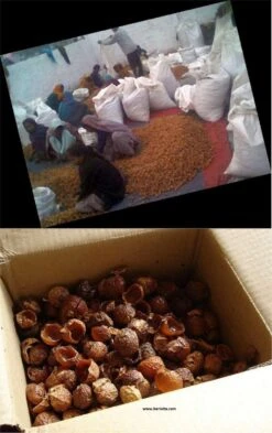 Wasnoten Start 150gr Met Waszakje - Zeepnoten - Natuurlijk Wassen 11 Wasnoten Start 150gr Met Waszakje - Zeepnoten - Natuurlijk Wassen -Huishoud Verkoop 755x1200