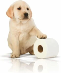 Page Toiletpapier - Eco - Duurzaam - 24 Rollen - Voordeelverpakking -Huishoud Verkoop 996x1200 3